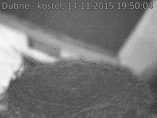 Capi_Dubne_20151114_195004.jpg (960 x 720)