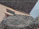 Capi_Dubne_20151118_103003.jpg