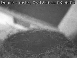 Capi_Dubne_20151203_030004.jpg (960 x 720)