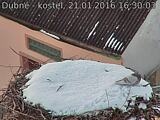 Capi_Dubne_20160121_163003.jpg