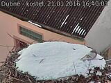 Capi_Dubne_20160121_164003.jpg