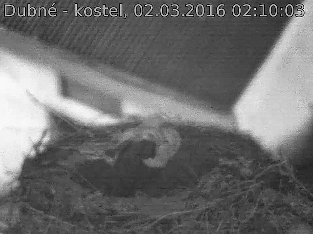 Capi_Dubne_20160302_021003.jpg (960 x 720)