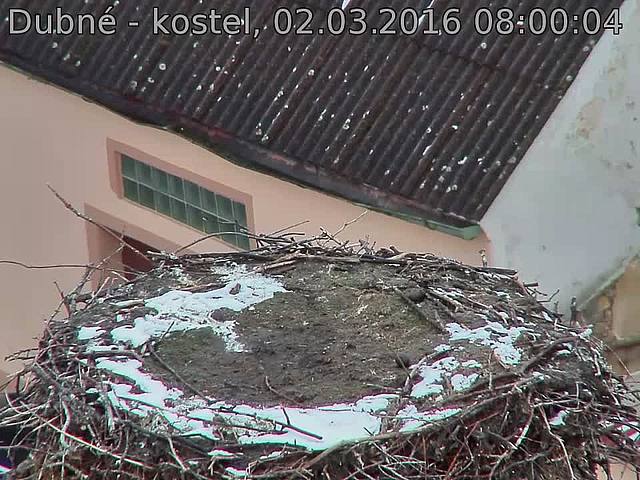 Capi_Dubne_20160302_080004.jpg (960 x 720)