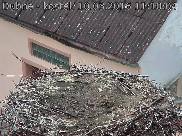 Capi_Dubne_20160310_111004.jpg (960 x 720)