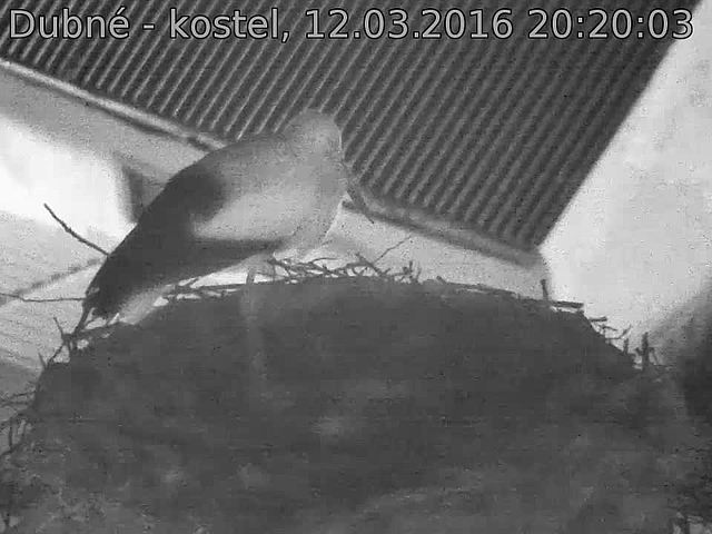 Capi_Dubne_20160312_202003.jpg (960 x 720)