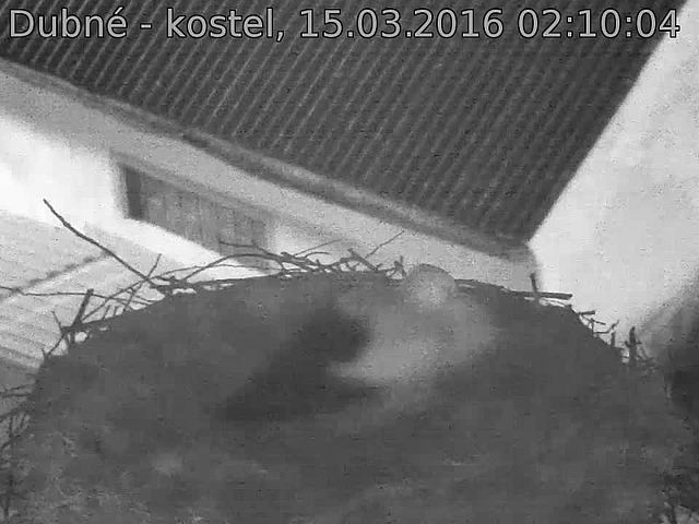 Capi_Dubne_20160315_021004.jpg (960 x 720)