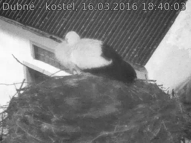 Capi_Dubne_20160316_184003.jpg (960 x 720)