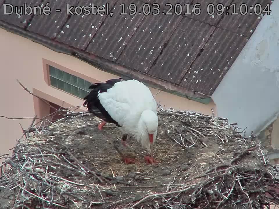 Capi_Dubne_20160319_091004.jpg (960 x 720)
