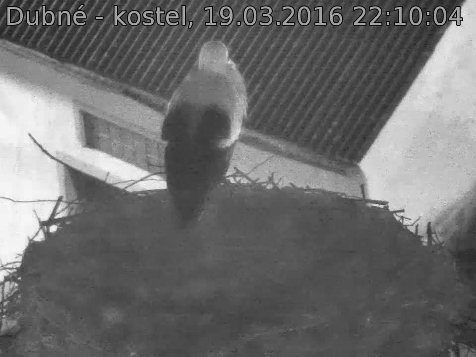 Capi_Dubne_20160319_221004.jpg (960 x 720)