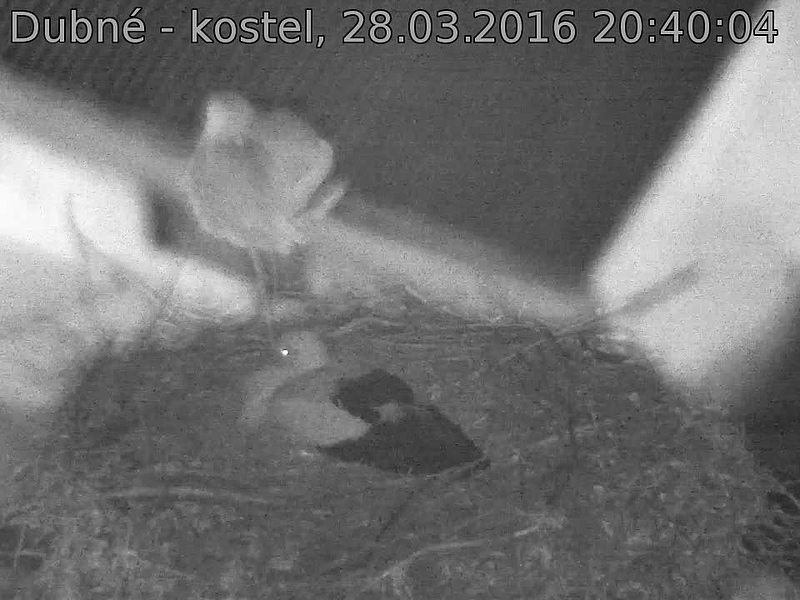 Capi_Dubne_20160328_204004.jpg (960 x 720)