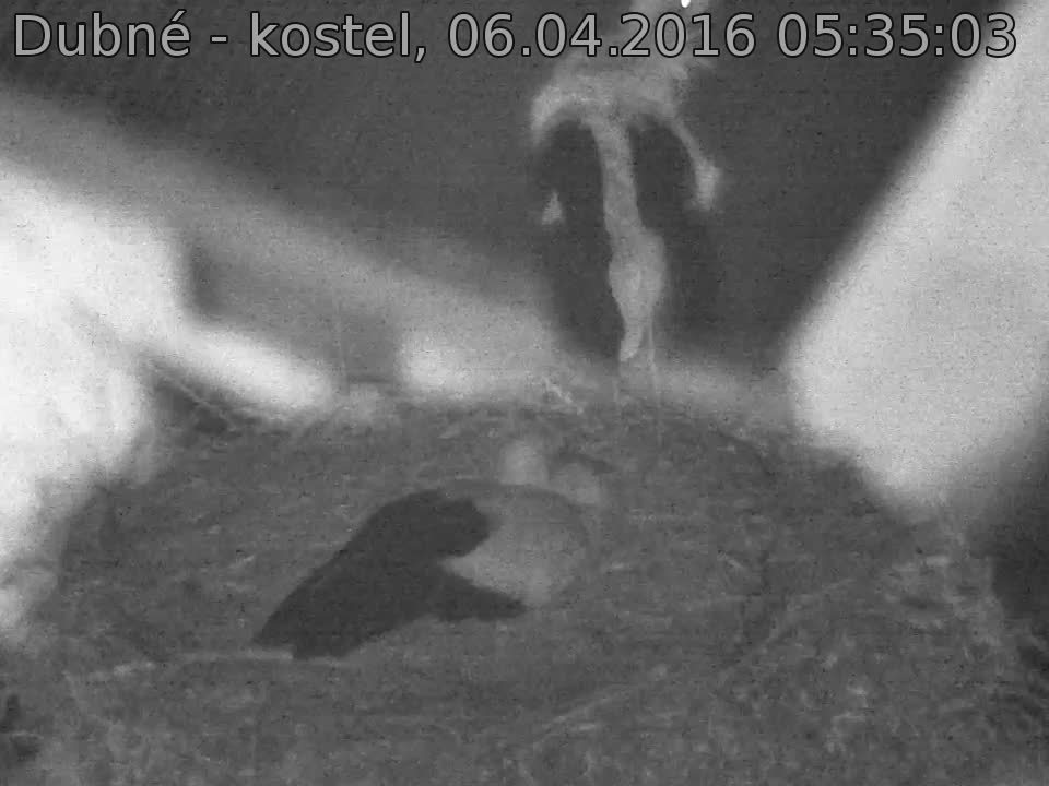 Capi_Dubne_20160406_053503.jpg (960 x 720)