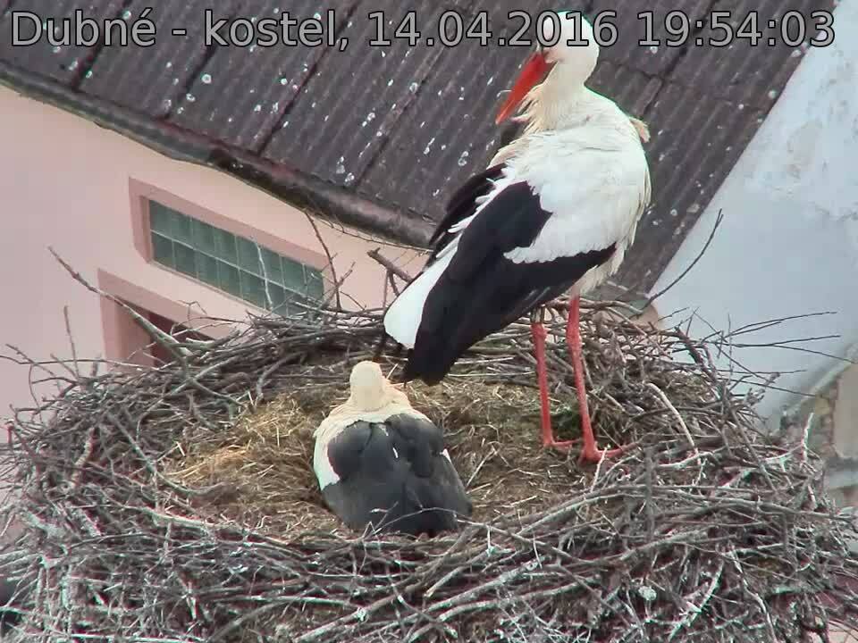 Capi_Dubne_20160414_195403.jpg (960 x 720)