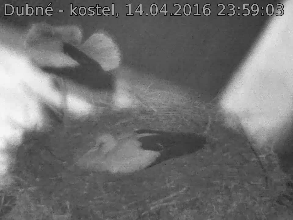 Capi_Dubne_20160414_235903.jpg (960 x 720)