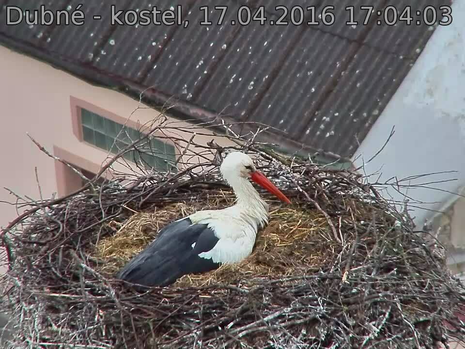 Capi_Dubne_20160417_170403.jpg (960 x 720)