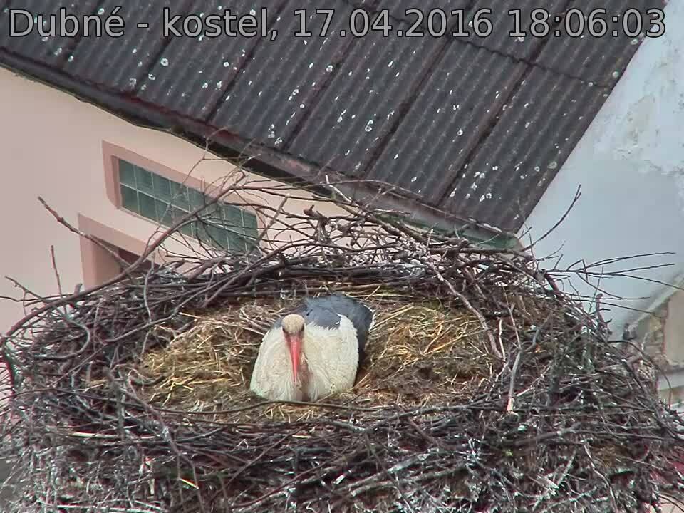 Capi_Dubne_20160417_180603.jpg (960 x 720)