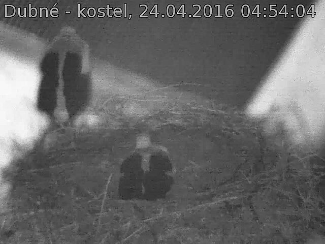 Capi_Dubne_20160424_045404.jpg (960 x 720)