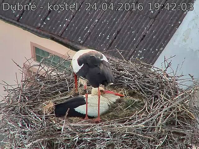 Capi_Dubne_20160424_194204.jpg (960 x 720)