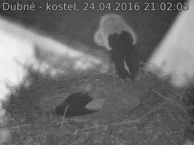 Capi_Dubne_20160424_210203.jpg (960 x 720)