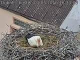 Capi_Dubne_20160501_163303.jpg