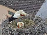 Capi_Dubne_20160502_151203.jpg