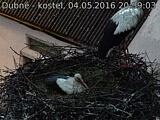 Capi_Dubne_20160504_203903.jpg