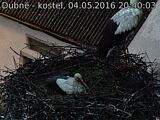 Capi_Dubne_20160504_204003.jpg