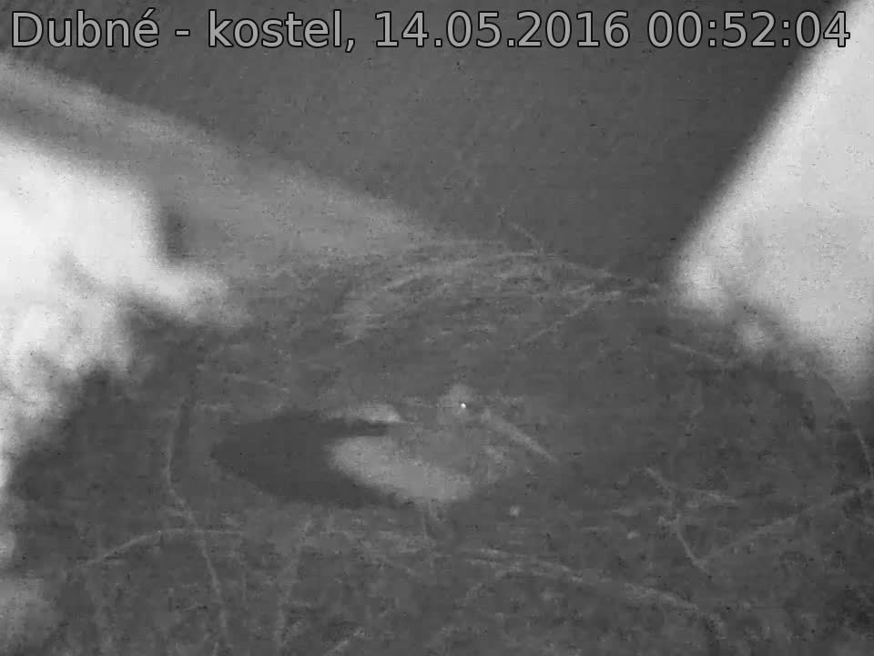 Capi_Dubne_20160514_005204.jpg (960 x 720)