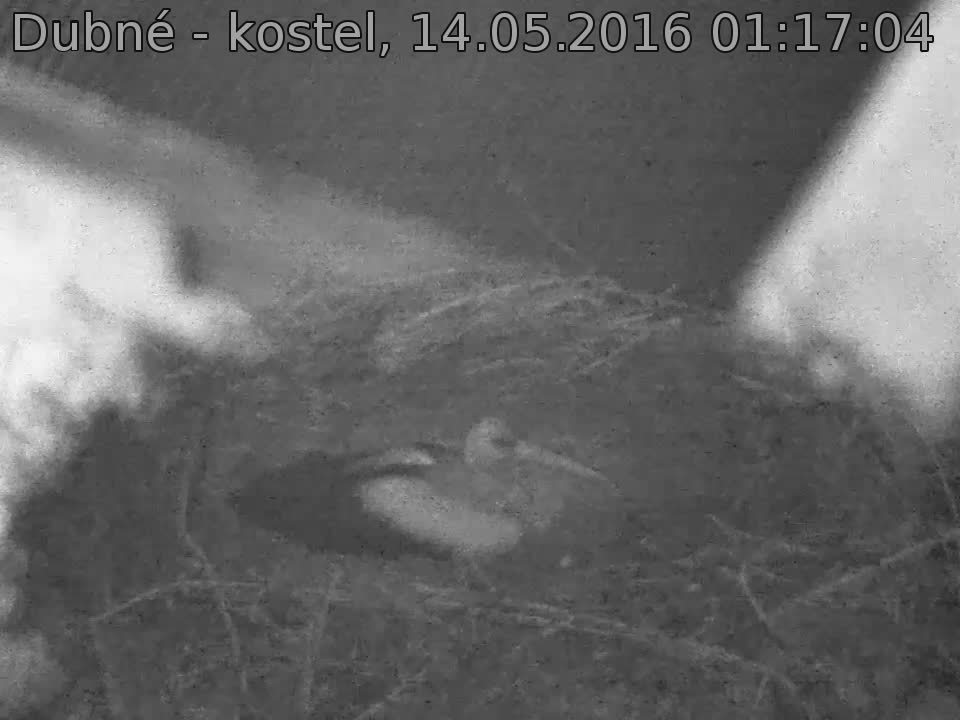 Capi_Dubne_20160514_011704.jpg (960 x 720)