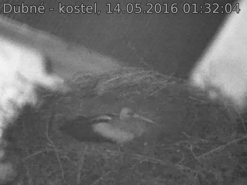 Capi_Dubne_20160514_013204.jpg (960 x 720)