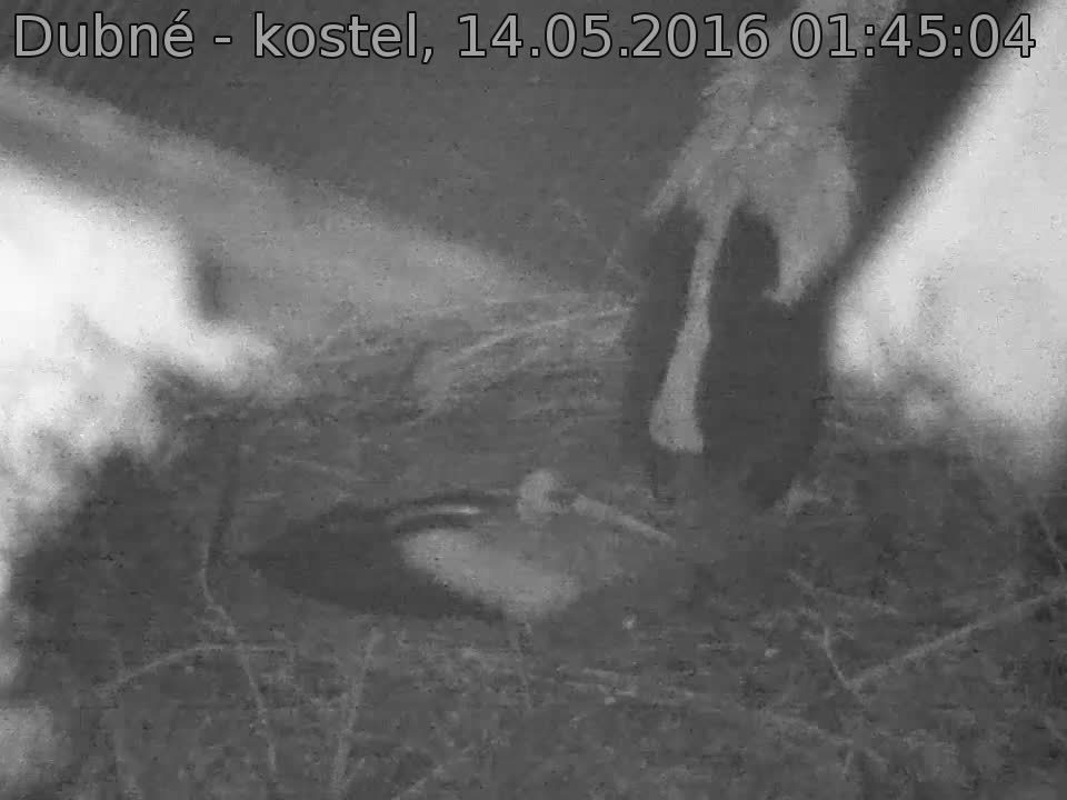 Capi_Dubne_20160514_014504.jpg (960 x 720)