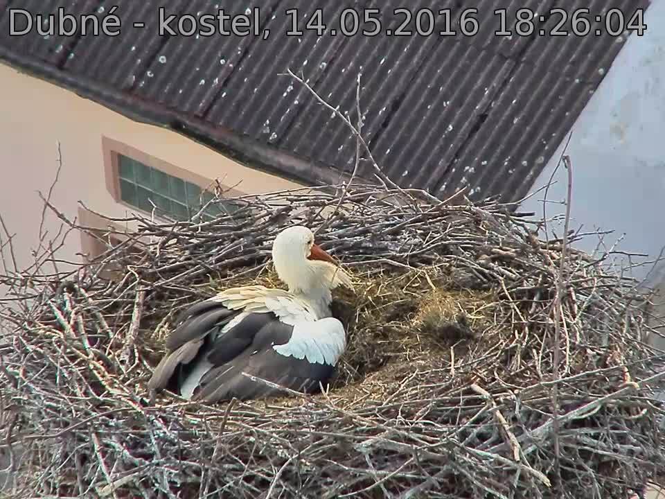 Capi_Dubne_20160514_182604.jpg (960 x 720)