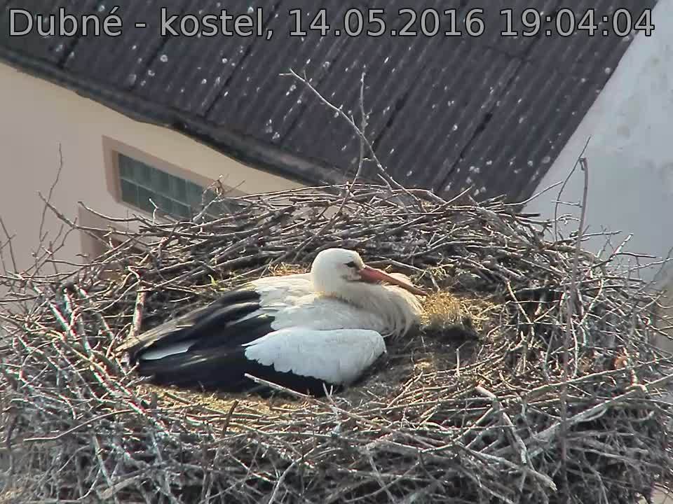 Capi_Dubne_20160514_190404.jpg (960 x 720)
