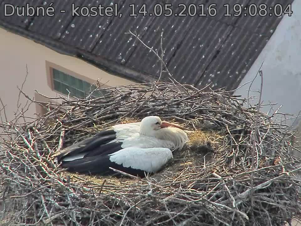 Capi_Dubne_20160514_190804.jpg (960 x 720)