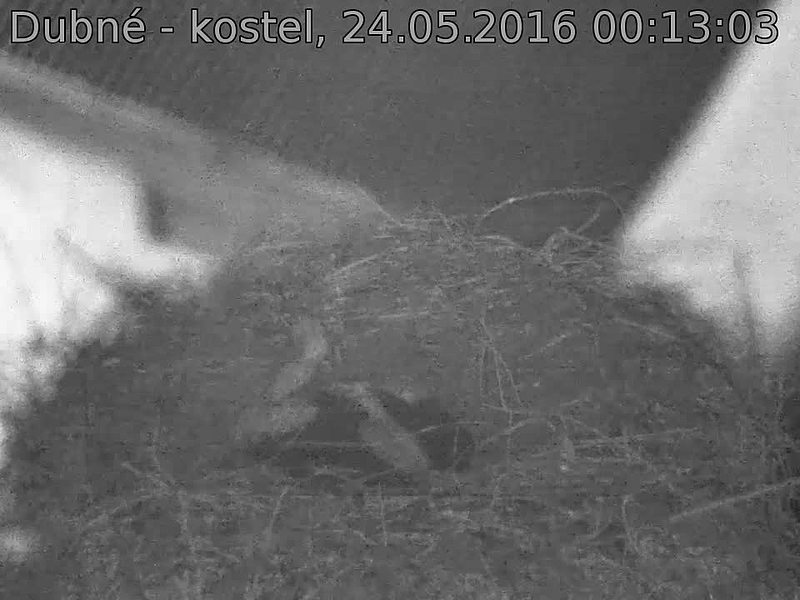 Capi_Dubne_20160524_001303.jpg (960 x 720)
