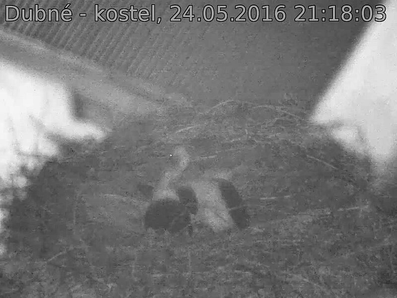 Capi_Dubne_20160524_211803.jpg (960 x 720)
