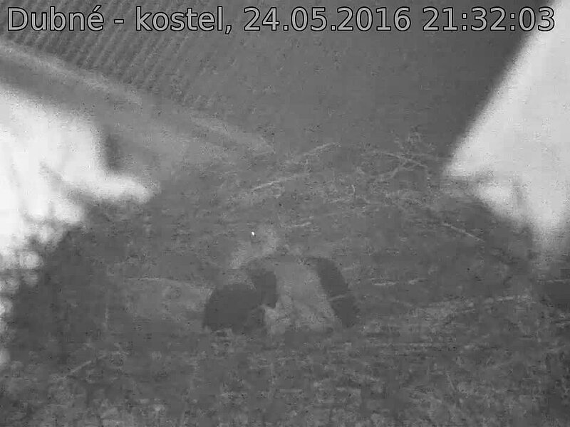 Capi_Dubne_20160524_213203.jpg (960 x 720)