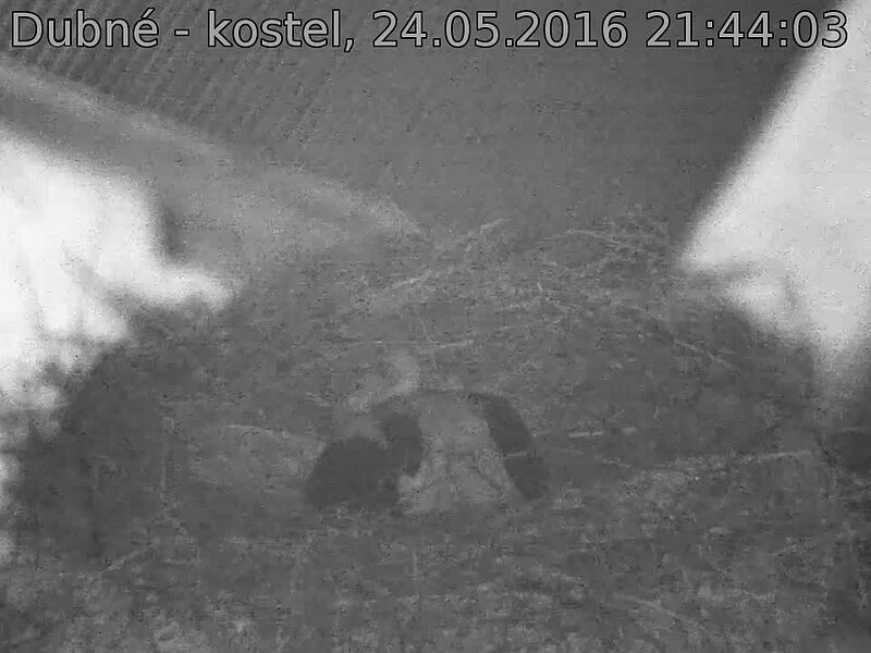 Capi_Dubne_20160524_214403.jpg (960 x 720)