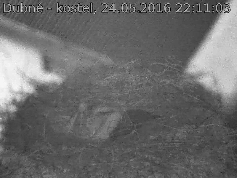 Capi_Dubne_20160524_221103.jpg (960 x 720)