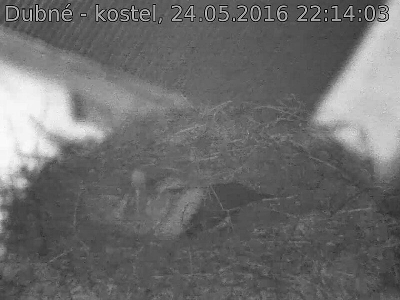 Capi_Dubne_20160524_221403.jpg (960 x 720)