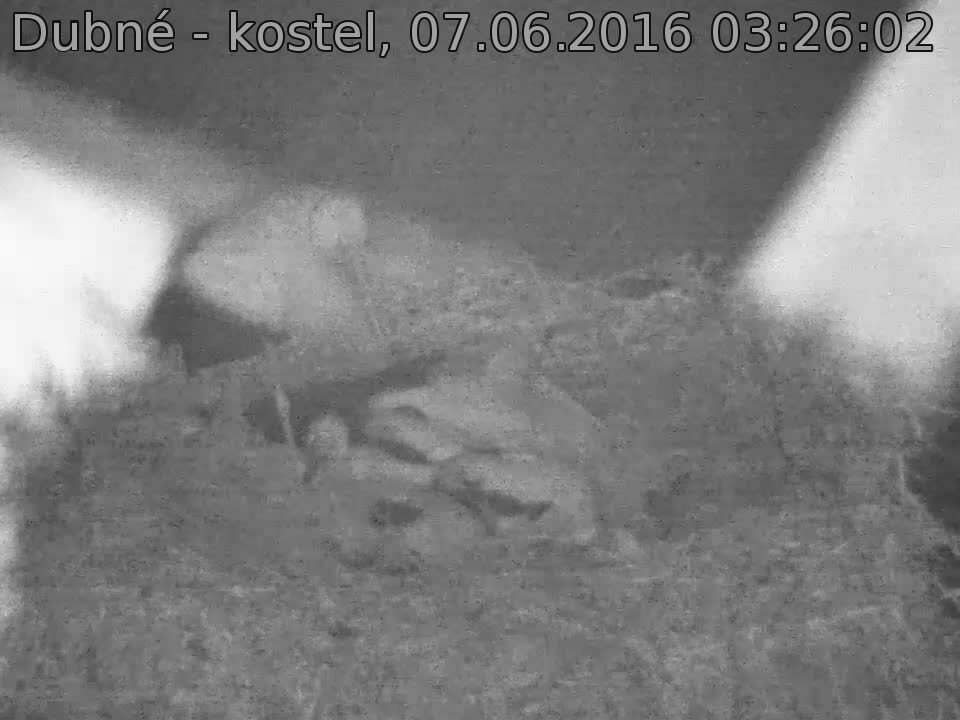 Capi_Dubne_20160607_032602.jpg (960 x 720)