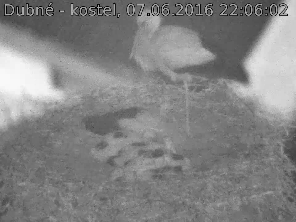 Capi_Dubne_20160607_220602.jpg (960 x 720)