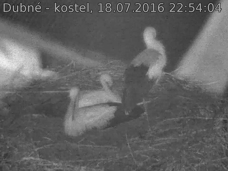 Capi_Dubne_20160718_225404.jpg (960 x 720)