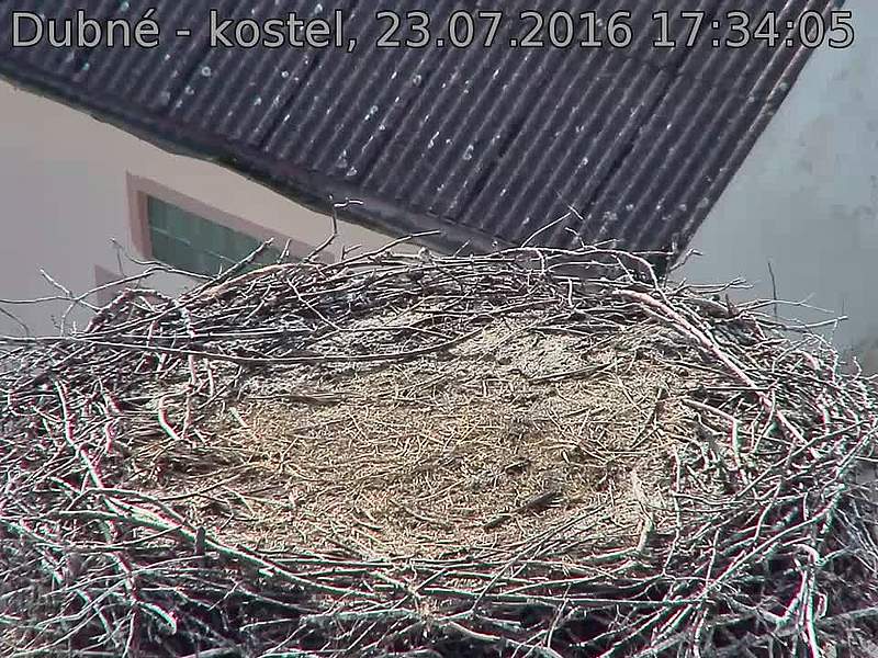 Capi_Dubne_20160723_173405.jpg (960 x 720)