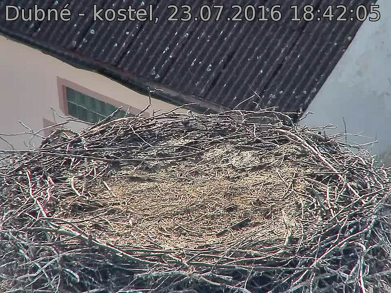 Capi_Dubne_20160723_184205.jpg (960 x 720)