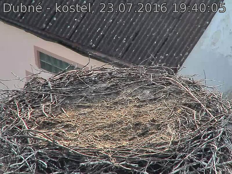 Capi_Dubne_20160723_194005.jpg (960 x 720)