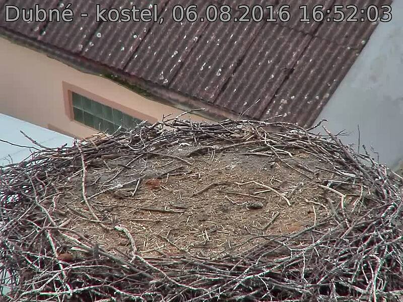 Capi_Dubne_20160806_165203.jpg (960 x 720)