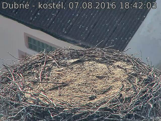 Capi_Dubne_20160807_184203.jpg (960 x 720)