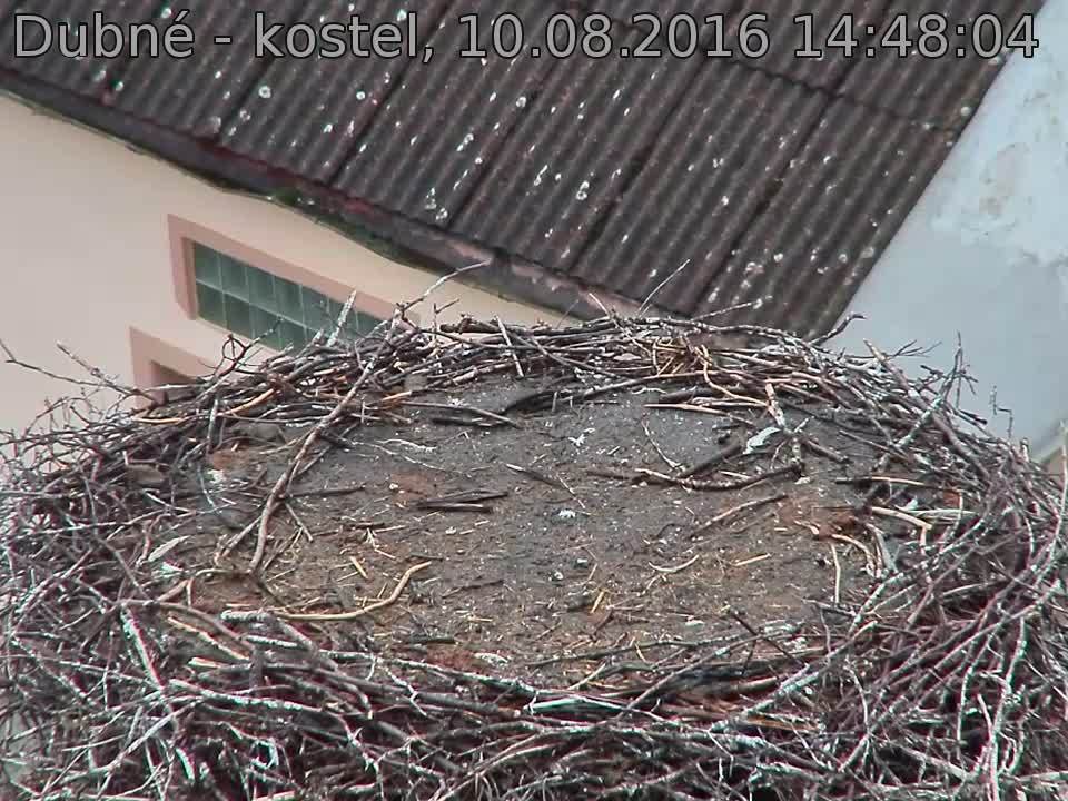 Capi_Dubne_20160810_144804.jpg (960 x 720)