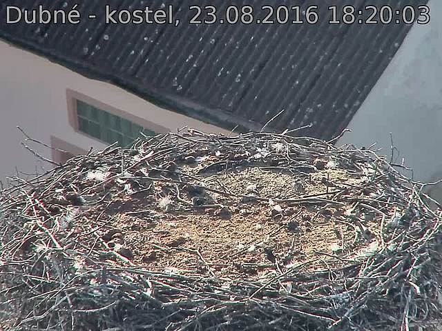 Capi_Dubne_20160823_182003.jpg (960 x 720)