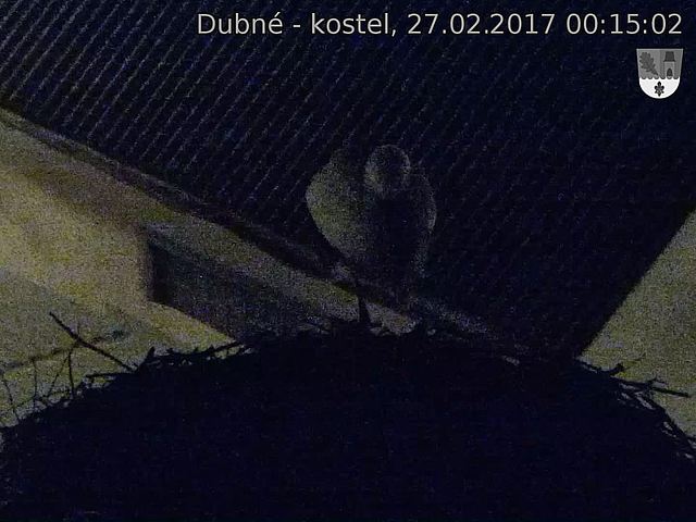 Capi_Dubne_20170227_001502.jpg (1440 x 1080)